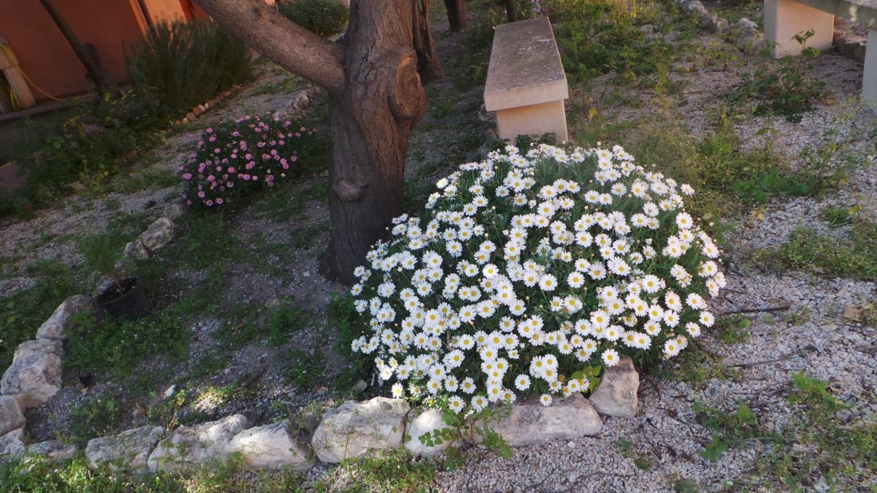 Bed and Breakfast Oasi Ottocento Quartu SantʼElena Exterior foto